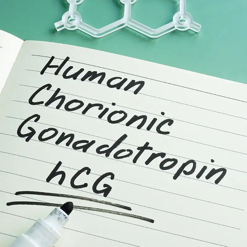 Human Chorionic Gonadotropin (HGH)